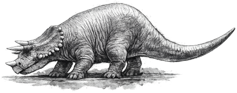 Triceratops-Modell im Traumlandpark